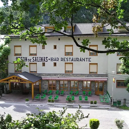 Meson De Salinas Salinas de Bielsa