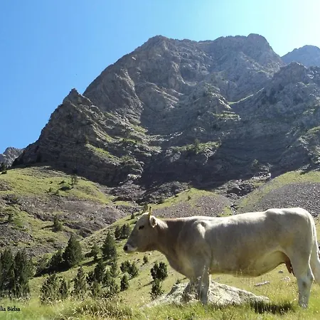 Vendégház Meson De Salinas Salinas de Bielsa