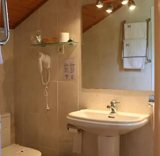 Meson De Salinas Gæstehus Salinas de Bielsa