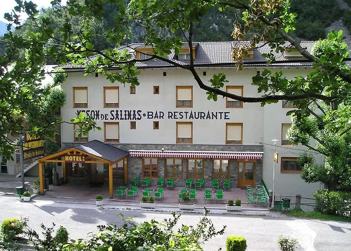 Meson De Salinas Salinas de Bielsa