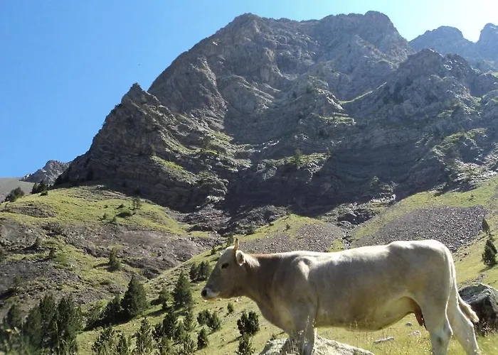 Gæstehus Meson De Salinas Salinas de Bielsa